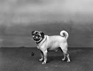 New Images January 2019, 10121021 new images january 2019 10121021