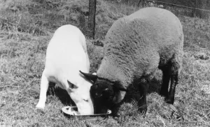 New Images January 2019, 10137439 new images january 2019 10137439